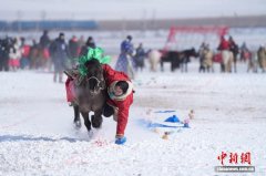 （寻味中华｜竞技）草原马术盛宴演